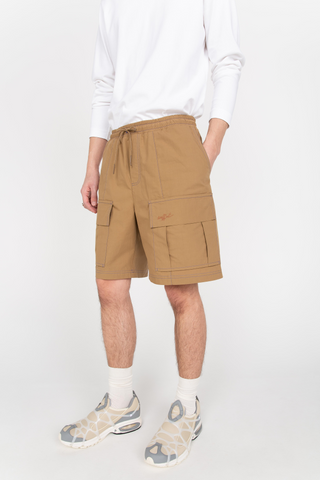 Brown cargo shorts