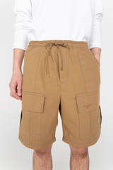 Brown cargo shorts